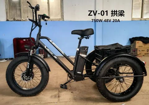 GT ZV-01