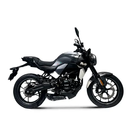 Мотоцикл TMBK DUKES 200 ЭПТС