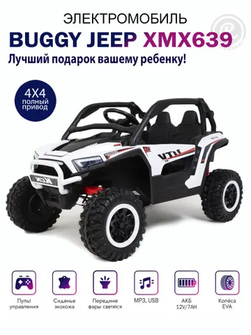 Багги ХМХ639 (черный)