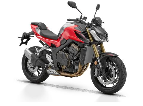 QJMOTOR SRK 800