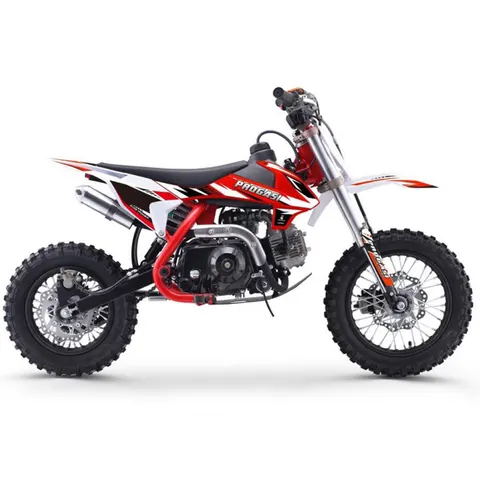 Питбайк PROGASI KIDS POWER 110 (10/10)